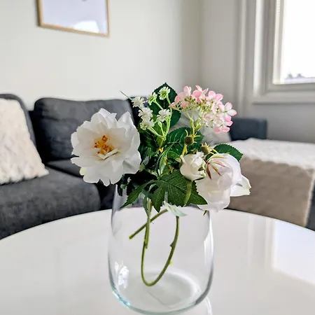 Apartment 20 - In Centre, Free Parking! *