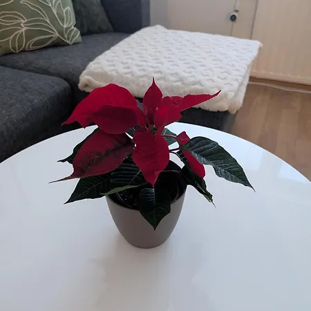 20 - In Centre, Free Parking! *