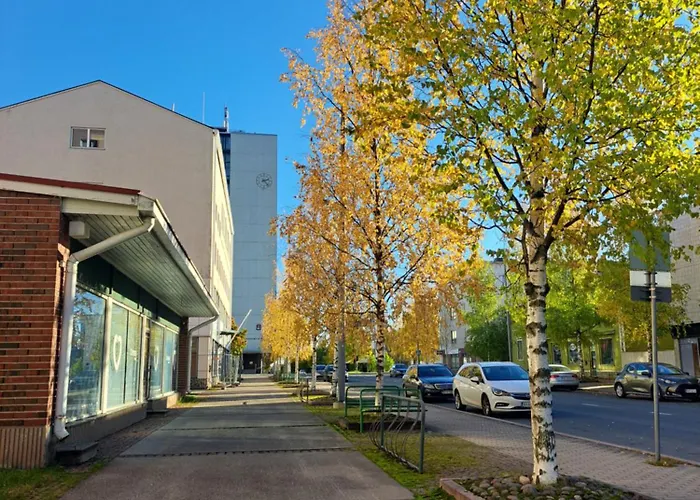 20 - In Centre, Free Parking! Appartement Kemi